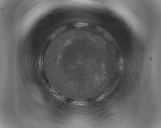 X0000085760763200703301428