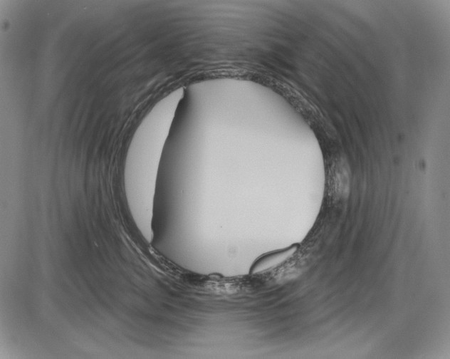 X0000085760764200703301428