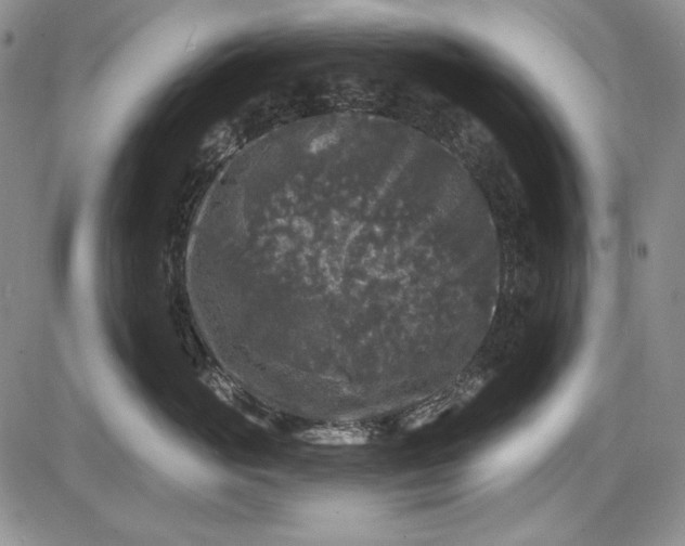 X0000085760765200703301428