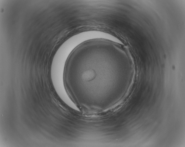 X0000085760766200703301428