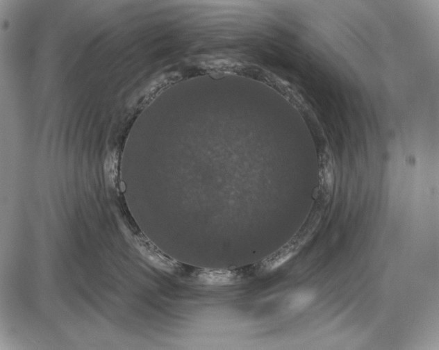 X0000085760767200703301428