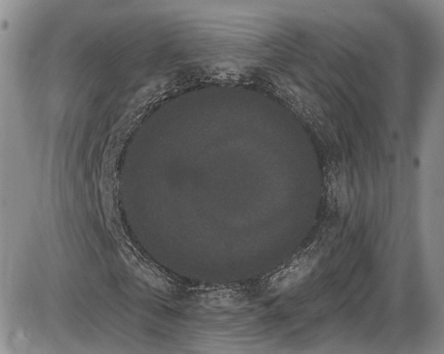 X0000085760769200703301427
