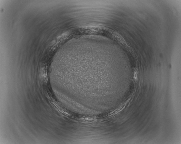 X0000085760771200703301427