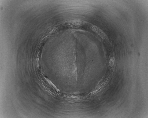 X0000085760772200703301427