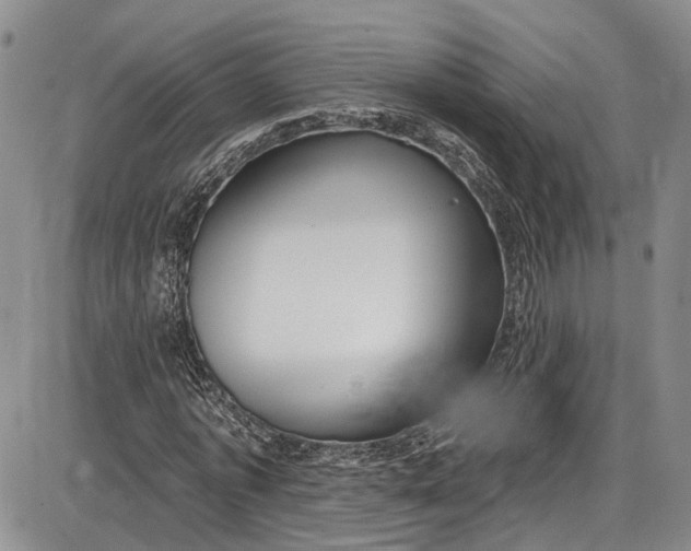 X0000085760773200703301427