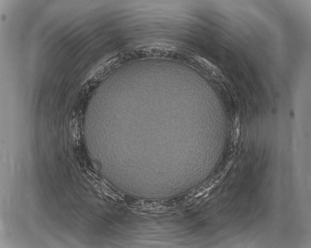 X0000085760774200703301427