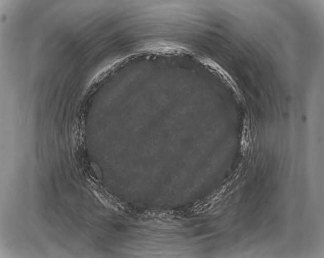 X0000085760775200703301427