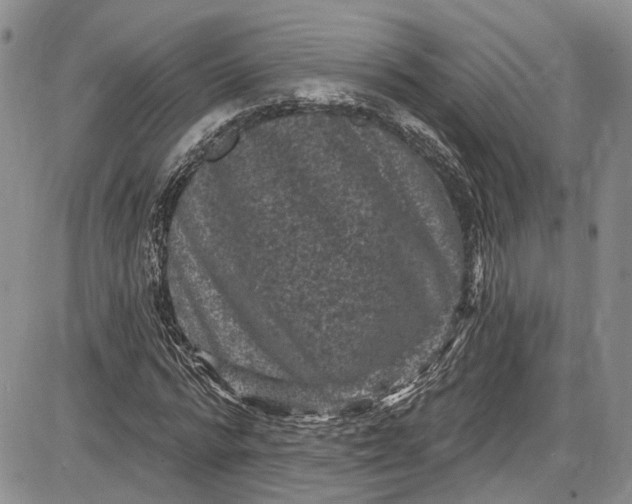 X0000085760776200703301427