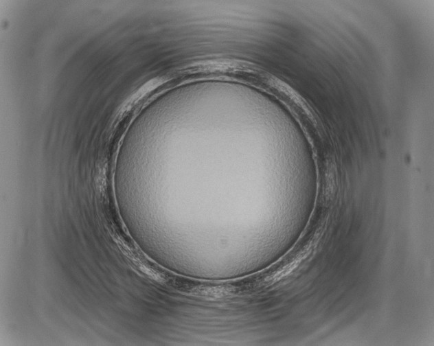 X0000085760778200703301427
