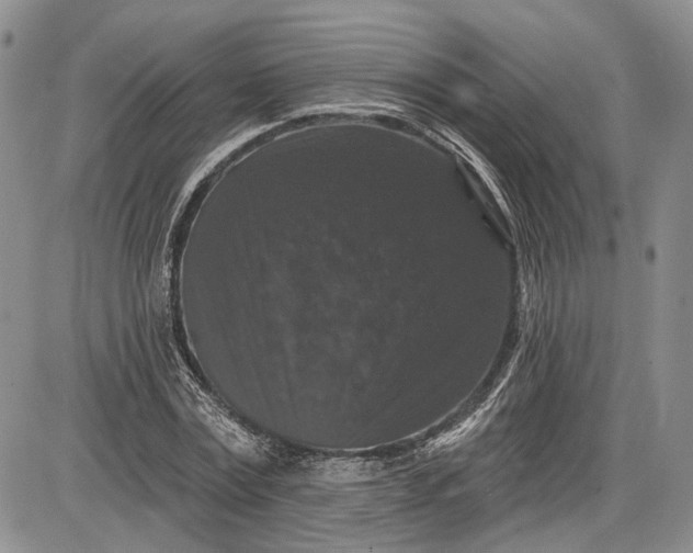 X0000085760779200703301427