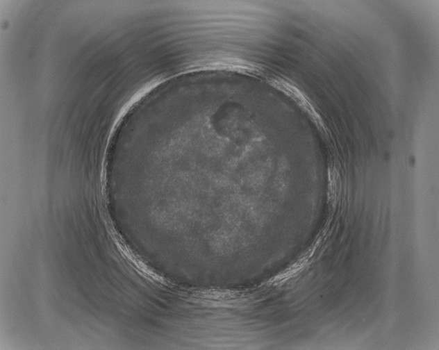 X0000085760780200703301427