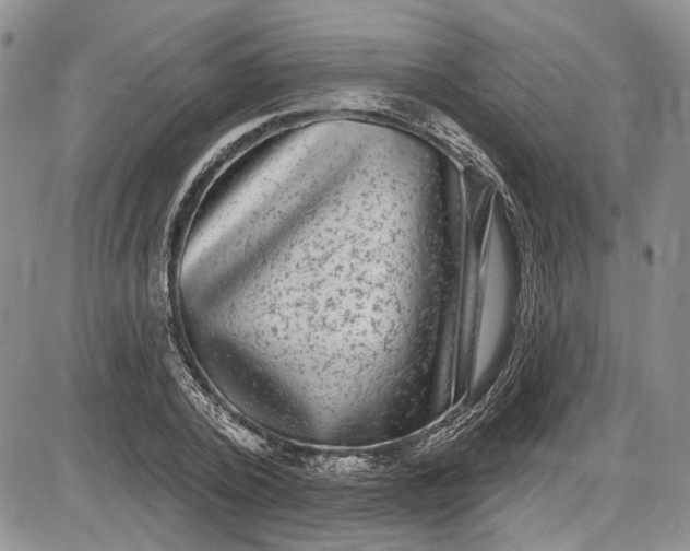 X0000085760784200703301427