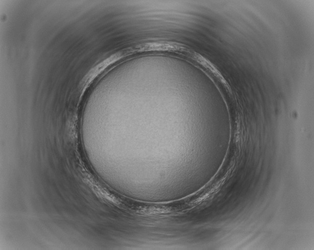 X0000085760786200703301427