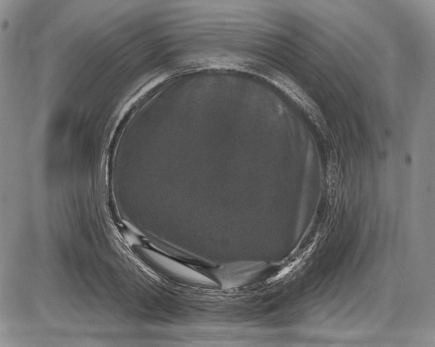 X0000085760790200703301427