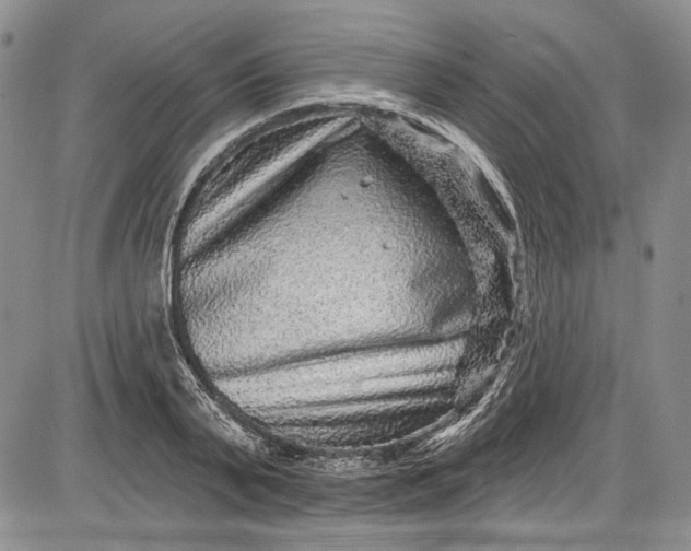 X0000085760791200703301427