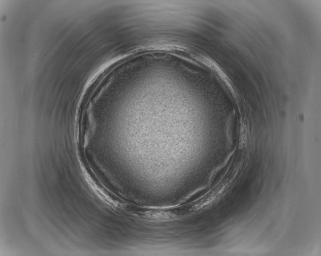 X0000085760795200703301427