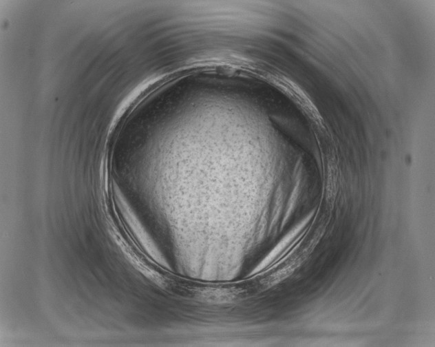 X0000085760796200703301427