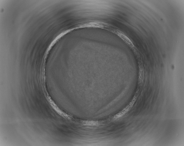 X0000085760800200703301426