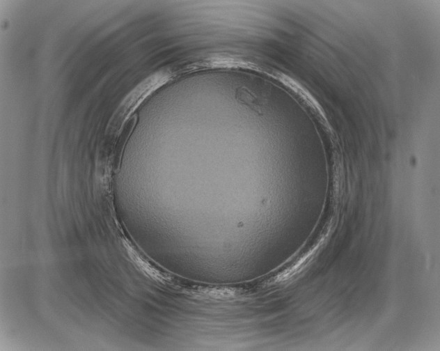 X0000085760801200703301426