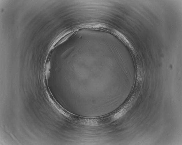 X0000085760802200703301426