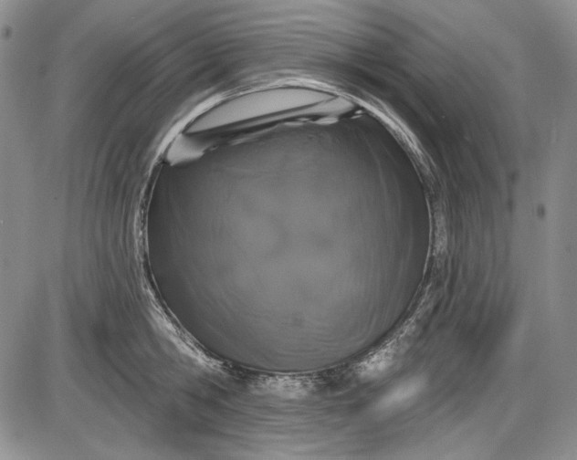 X0000085760806200703301426