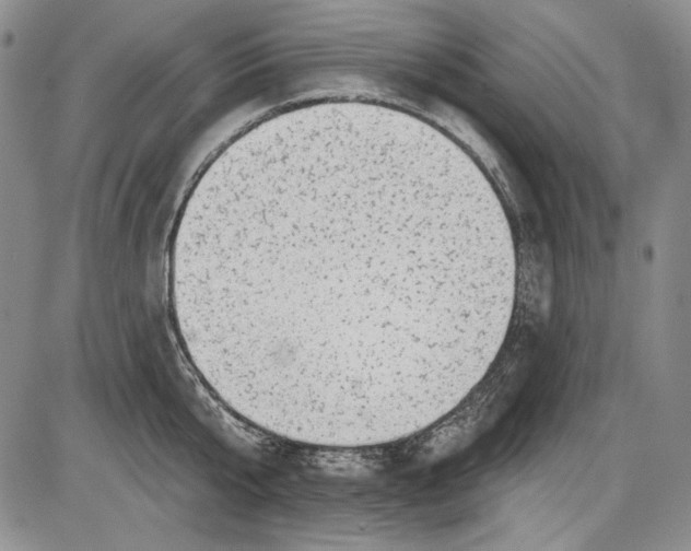 X0000085760807200703301426