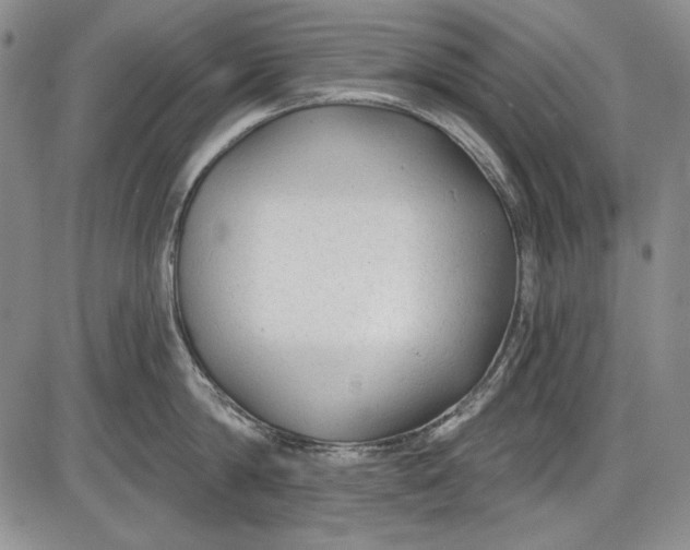 X0000085760814200703301426