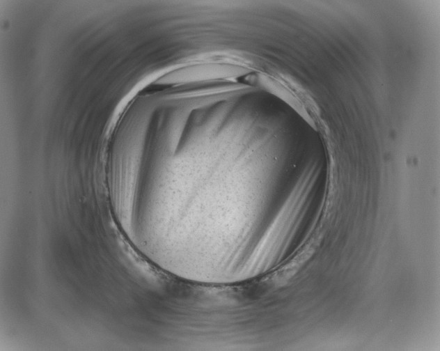 X0000085760816200703301426