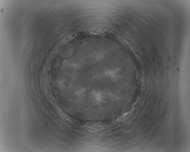 X0000085760817200703301425