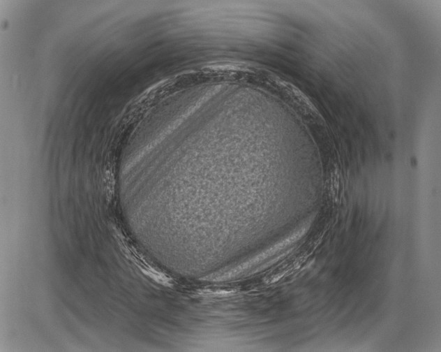 X0000085760821200703301425