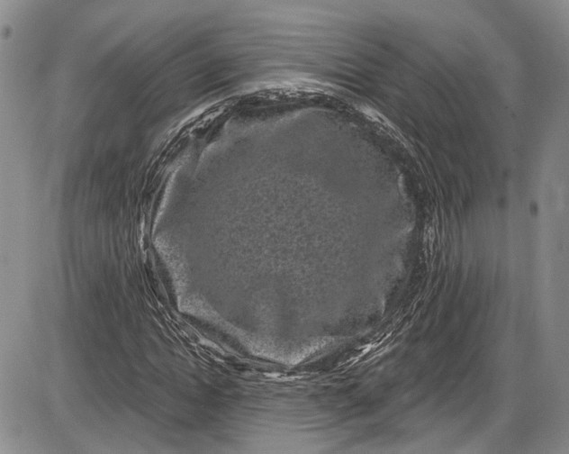 X0000085760822200703301425