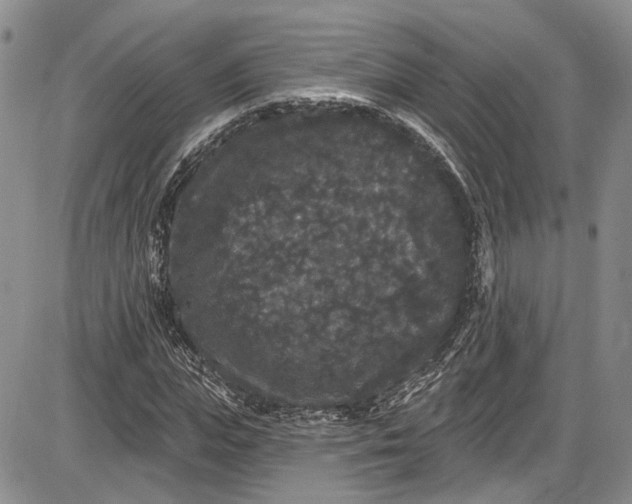 X0000085760823200703301425