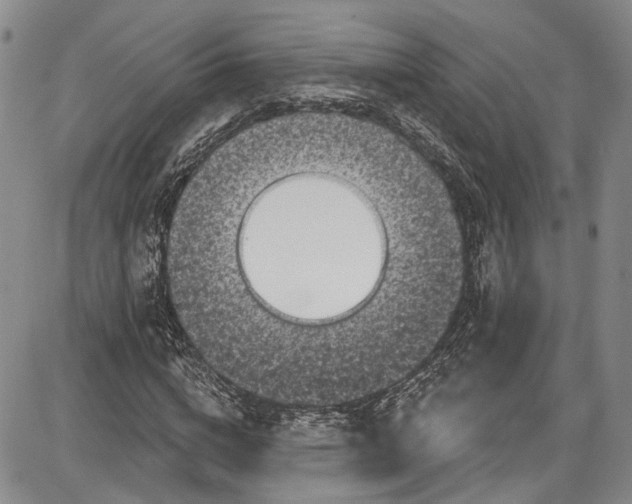 X0000085760824200703301426