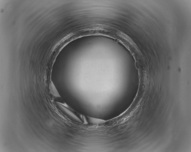 X0000085760826200703301426