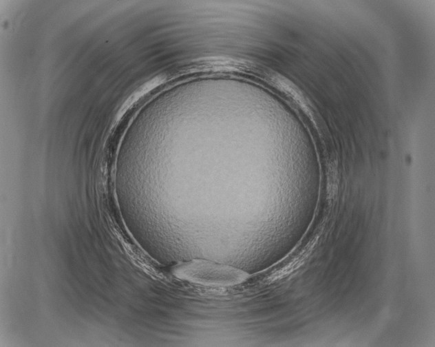 X0000085760827200703301426