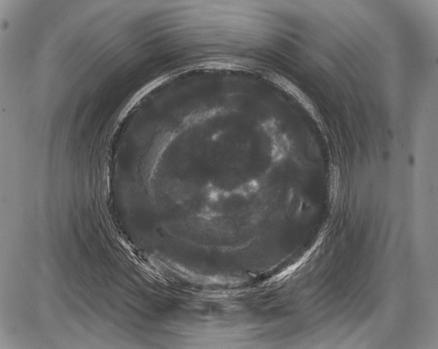 X0000085760829200703301426