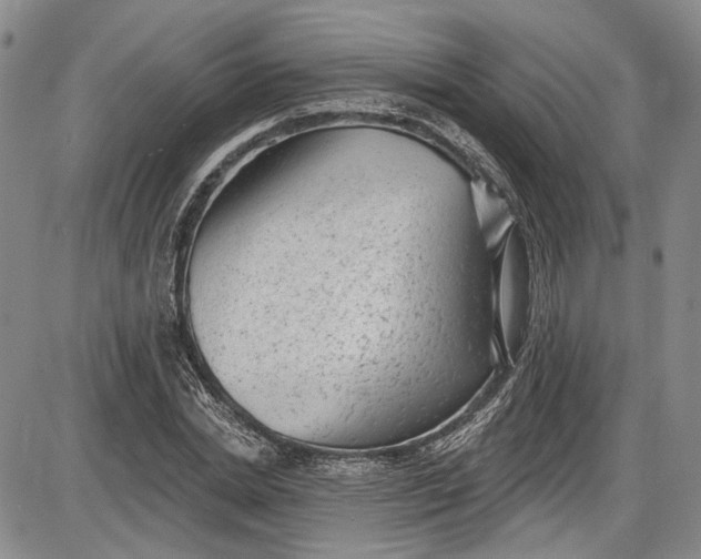 X0000085760830200703301426