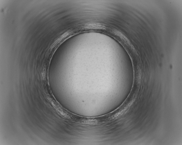 X0000085760833200703301426