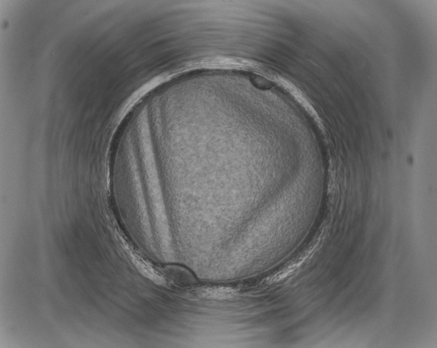 X0000085760837200703301426