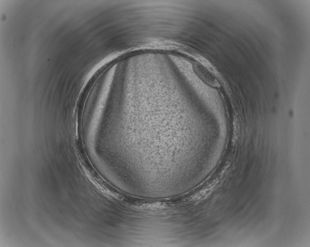 X0000085760838200703301426
