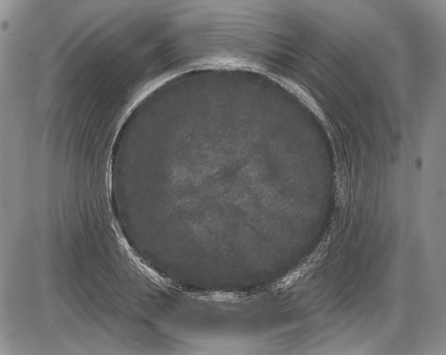 X0000085760839200703301426