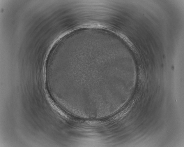 X0000085760840200703301426