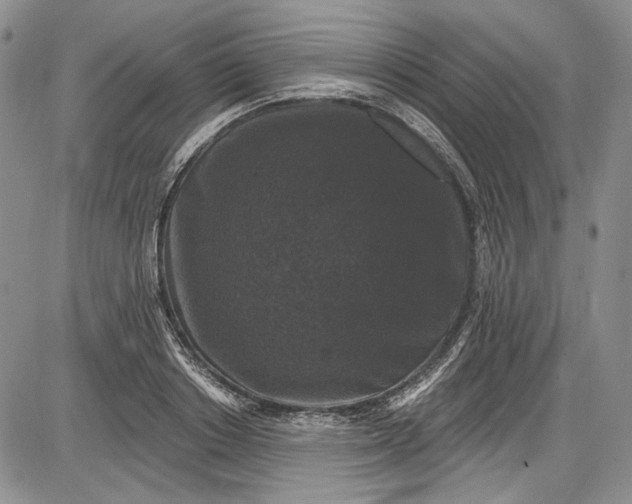 X0000085760842200703301426