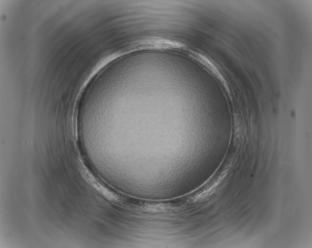 X0000085760843200703301426