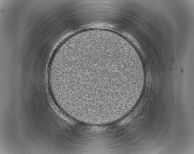 X0000085760848200703301426