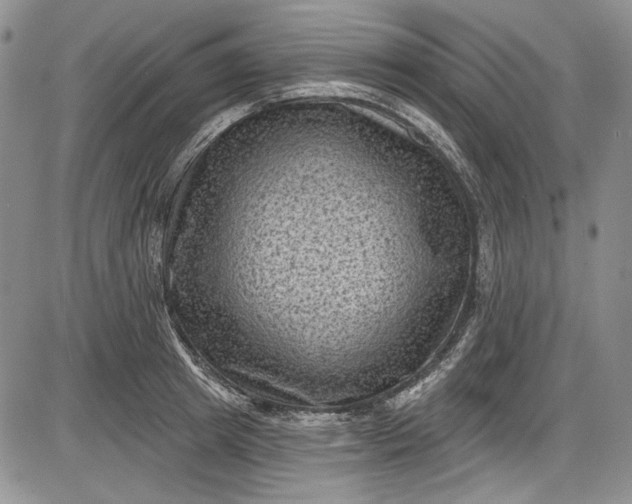 X0000085760849200703301426