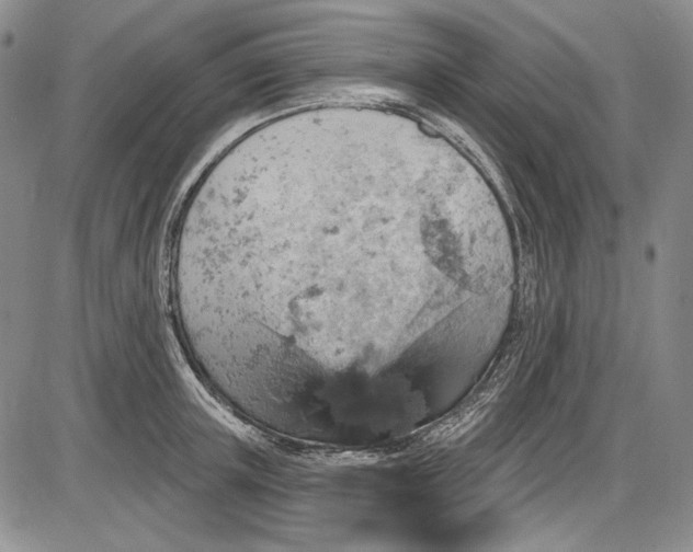 X0000085760851200703301426