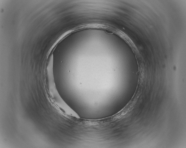 X0000085760852200703301426
