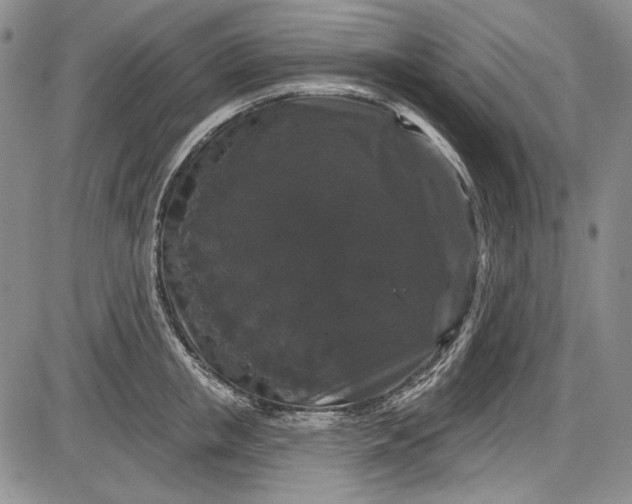 X0000085760853200703301426