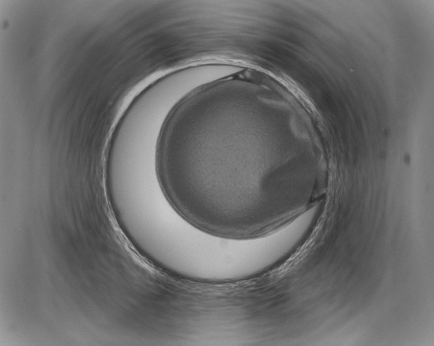 X0000085760854200703301426